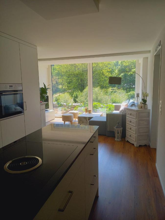 Neue Wohnung An Stadtrand Mit Parkplatz Ebikon Exterior foto